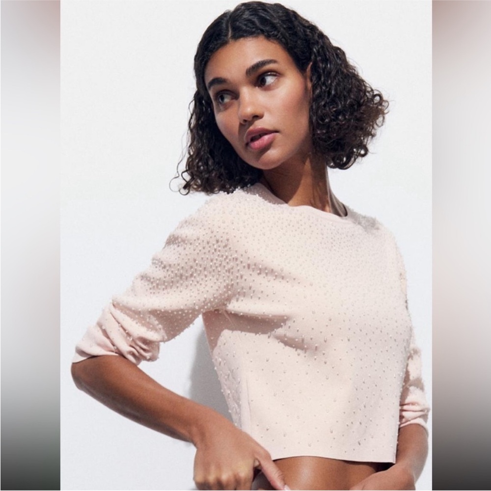 Zara Embellished Beaded Sweater Blush Pink‎ Long Sleeve Knit Size Medium